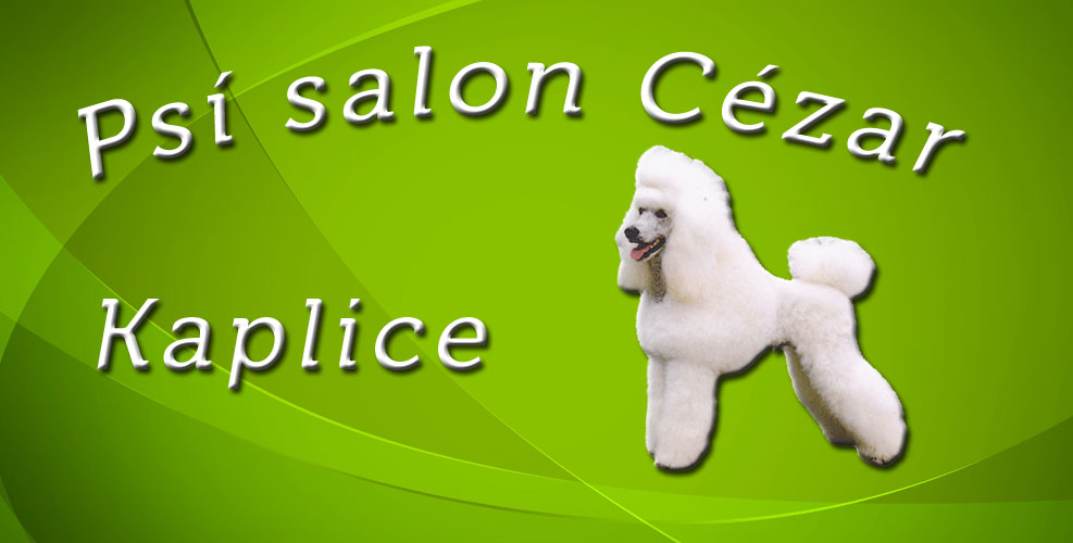 Psí salon CÉZAR